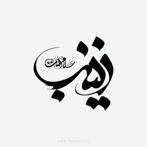 طرح وکتور تایپوگرافی زینب س